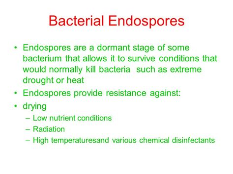 do autoclaves kill endospores|endospore reactivation process.